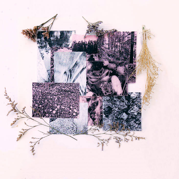 Daelenda el eventual surgimiento de algo 2025 cover art portada reseña Punkcast @owls_anwts